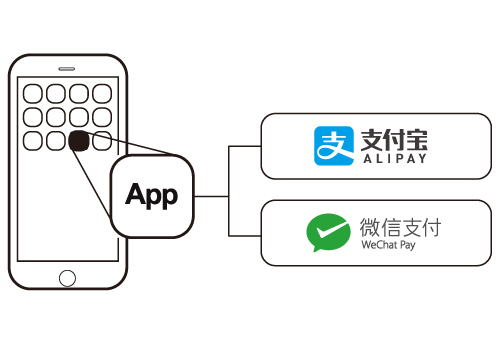 install alipay and wechat pay into mobile app